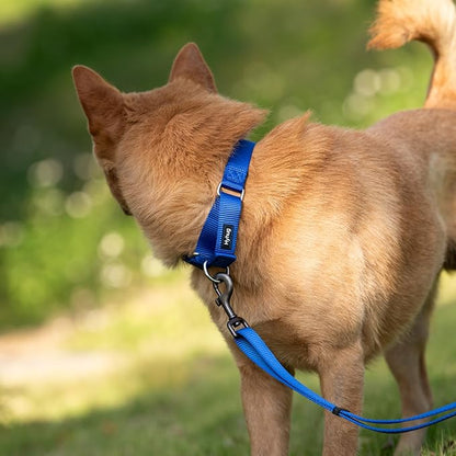 Hyhug Martingale Collar for Dogs Small Blue |Escape - Proof Heavy Duty Nylon Durable No Buckle, Ideal for Training & Daily Walks