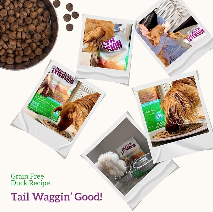 Health Extension Grain Free Duck & Sweet Potato Dry Dog Food - 30+ Superfoods and Probiotics for All Life Stages (4 lb)