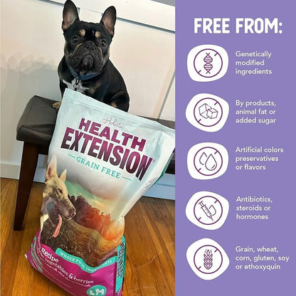 Health Extension Grain Free Salmon & Sweet Potato Dry Dog Food - 30+ Superfoods and Probiotics for All Life Stages (4 lb)