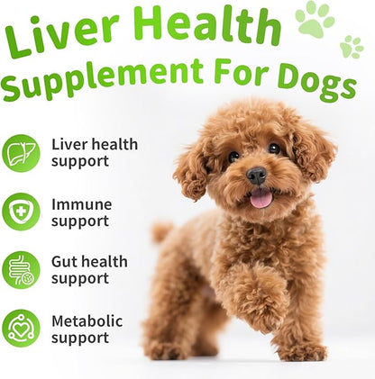Dog Liver Support Chews - with Milk Thistle (Silybum), Same & NAC - Liver Supplement for Metabolic - Detox - Gut & Immune Health - Chicken Flavor, 90 Soft Chews