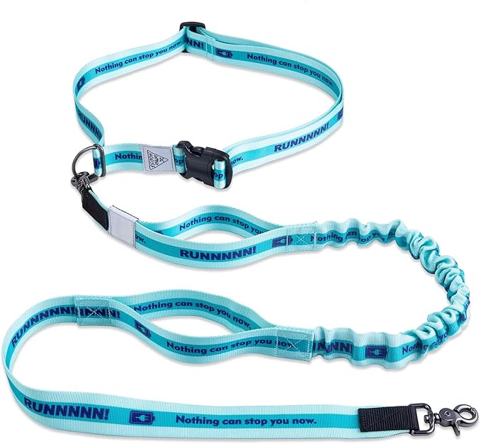 Hands Free Dog Leash with Waist Belt Lifetime Replacement, Dual Handle Bungee Leash for Running, Jogging, Hiking and Walking, for Medium and Large Dogs 5118