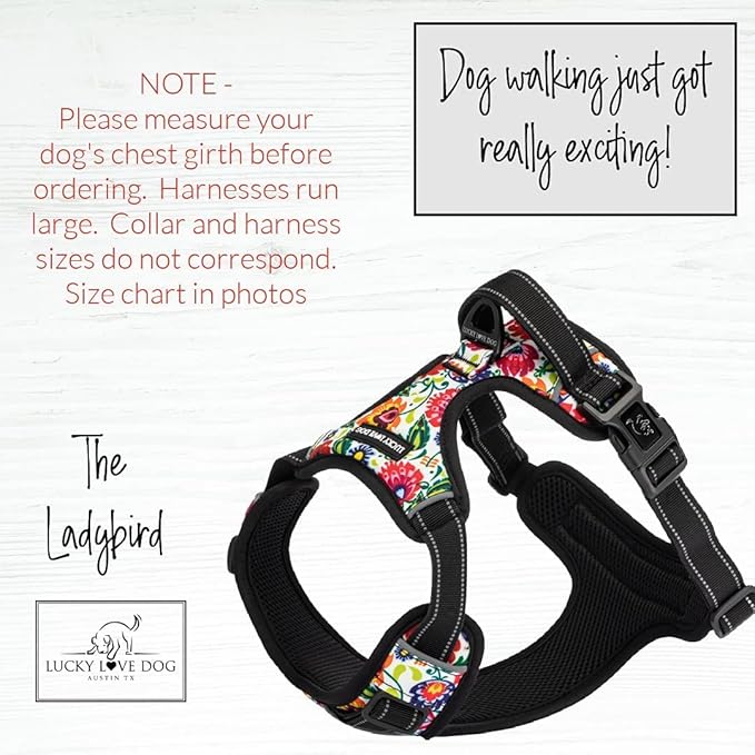 Lucky Love Dog No Pull Dog Harness, Adjustable and Easy to Walk, Cute Patterned Harness for Large Male & Female Dogs - Ladybird, Large