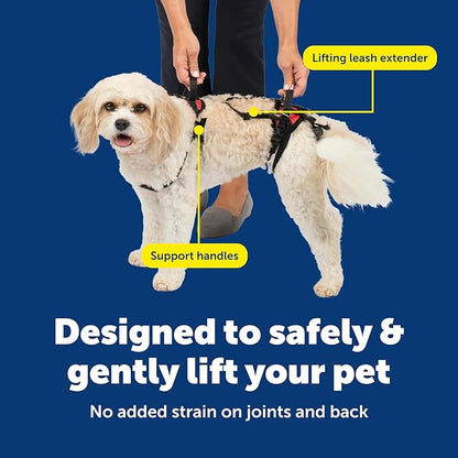PetSafe CareLift Support Harness - Lifting Aid for Senior or Injured Dogs - Breathable Mesh - Machine Washable - Post-Surgery Dog Support - Small