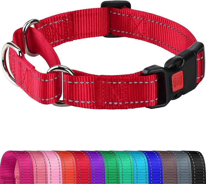 Joytale Martingale Collar for Dogs, Reflective Heavy Duty for Safety, Quick Release Buckle, Adjustable Nylon Collars for Small Dogs Walking Training, Red,S