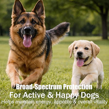 Dewormer for Dogs Broad Spectrum Fenbendazole Dog Dewormer for Tapeworms, Roundworms, Hookworms and Whipworms