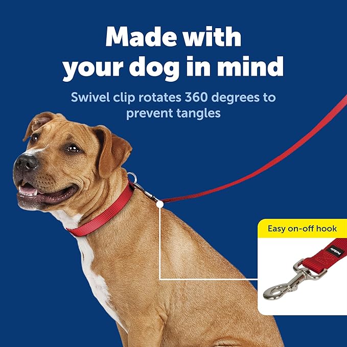PetSafe Nylon Leash - Helps Maintain Secure Connection on Walks - Durable Pet Leash with Easy Clip - 1 in. x 4 ft. - Red