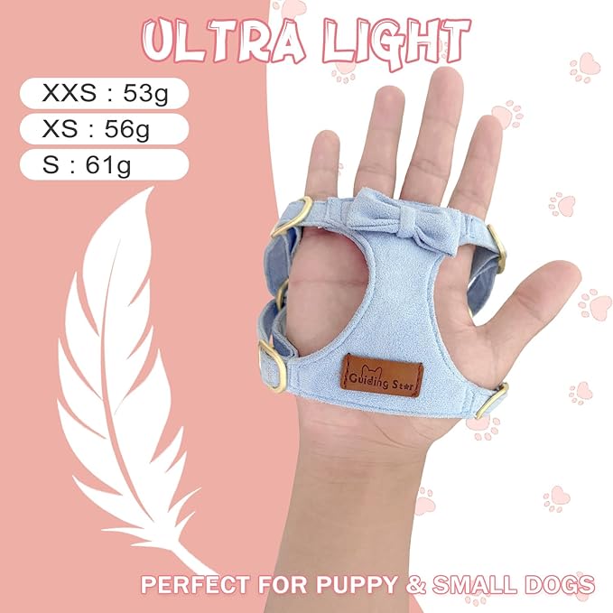 Guiding Star Dog Harness Small Sized Dog with Multifunction Leash, No Pull Puppy Dog Harness and Leash Set Training, Cute Soft Adjustable Dog Walking Harness Pet Vest Harness (Sky Blue-XS)