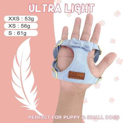 Guiding Star Dog Harness Small Sized Dog with Multifunction Leash, No Pull Puppy Dog Harness and Leash Set Training, Cute Soft Adjustable Dog Walking Harness Pet Vest Harness (Sky Blue-XS)
