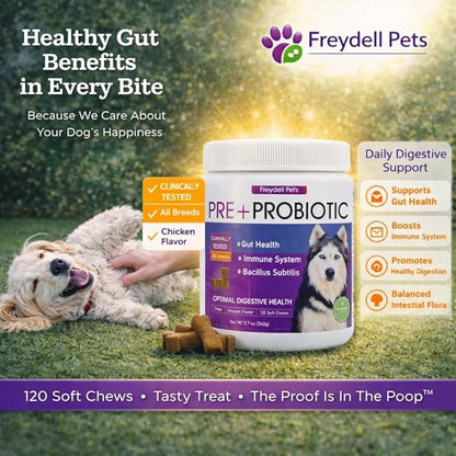 Freydell Pets Probiotics for Dogs– Digestive Enzymes, Prebiotics & Fiber Soft Chews – Gut Health, Diarrhea Relief, Yeast Balance, Immune Support, Pumpkin & Papaya – Dog Probiotic Supplement 120 Chews