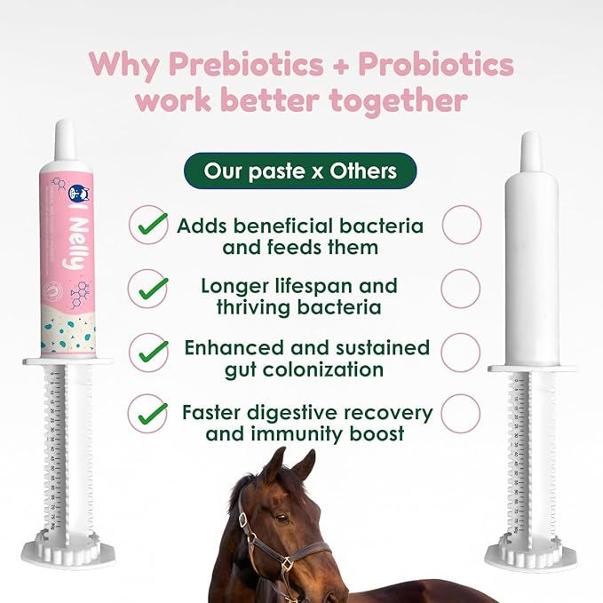 Horse Probiotic Paste – 8 Billion CFU Equine Probiotic with Prebiotics & Vitamins – Hindgut Health, Digestive Balance & Feed Efficiency Support – Pack of 2 / 80CC Each
