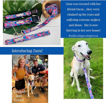 Lucky Love Dog - Easy Click Buckle Dog Collar with Leash Set Combo, Durable & Comfortable for Male & Female Dogs, Pet Collar for Large Dogs, Secure Fit - Zuzu Combo, XL