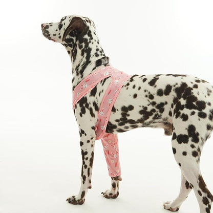 ROZKITCH Leg Sleeve for Dogs Front Leg Right Left Leg, Pet Prevent Licking Wound Elbow Knee Protector, Dog Recovery Suit Cone Collar Alternative for Sprain ACL CCL Arthritis Joint Care Rabbit M