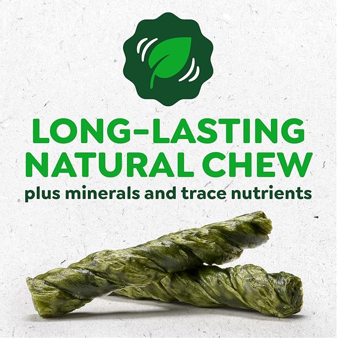 Greenies Occupy Twists Natural Dog Treats Petite Size Dog Chews Long Lasting Chicken Flavor, 8.75 oz. Pack, 10 Count