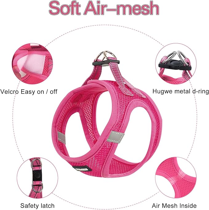 Dog Harness for Small Dogs and Leash Set, Honeycomb Grid, Reflective Lightweight Harness & Anti-Twist Pet Lead (Multi Color, Size: XS-S-M) (M, Rose red)