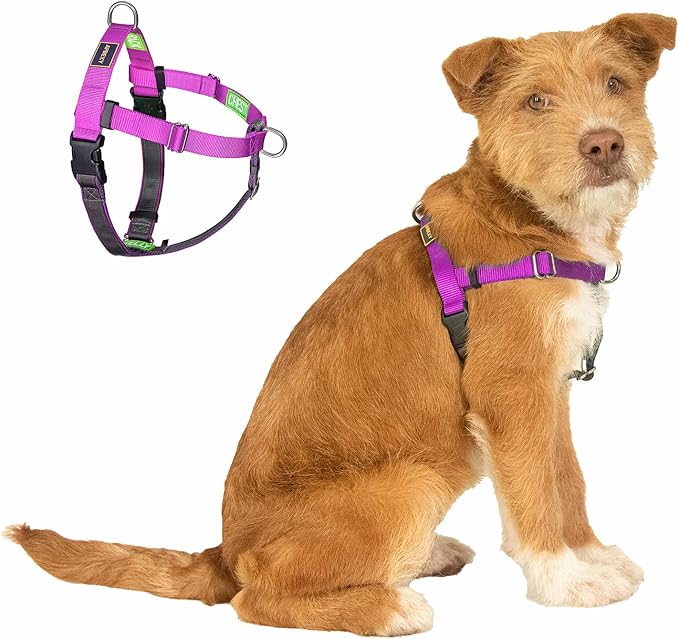 Easy Walk No Pull Dog Harness, Freedom Walk with Front and Back Clips Stainless D-Rings, Comfortable, Sewn-in Instructions Tags for Easy Use, for Medium Dogs Weight 30-39lbs (Purple, M)