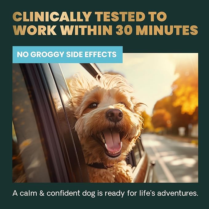 VetriScience Clinically Tested Composure Calm & Confident Chews - Supplement for Dogs with Anxiety, Stress & Fear with L-Theanine for Thunderstorms, Fireworks or Travel, Peanut Butter, 120 Count