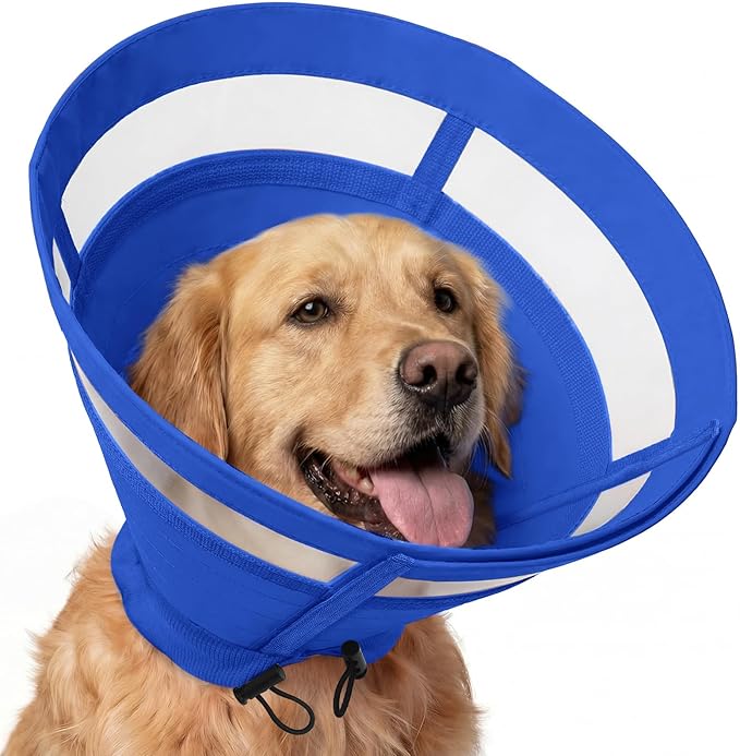 ASENKU Dog Cone Collar, Protective Recovery Dog Collar After Surgery, Comfy Adjustable Cone for Dogs to Stop Licking, Pet E-Collar for Small, Medium & Large Dogs(Blue, L)