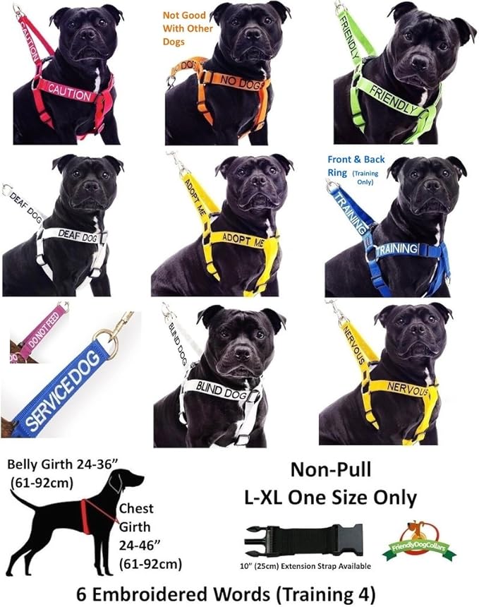 NERVOUS Yellow Color Coded 2 4 6 Foot Padded Dog Leash (Give Me Space) PREVENTS Accidents By Warning Others of Your Dog in Advance (Standard Leash)