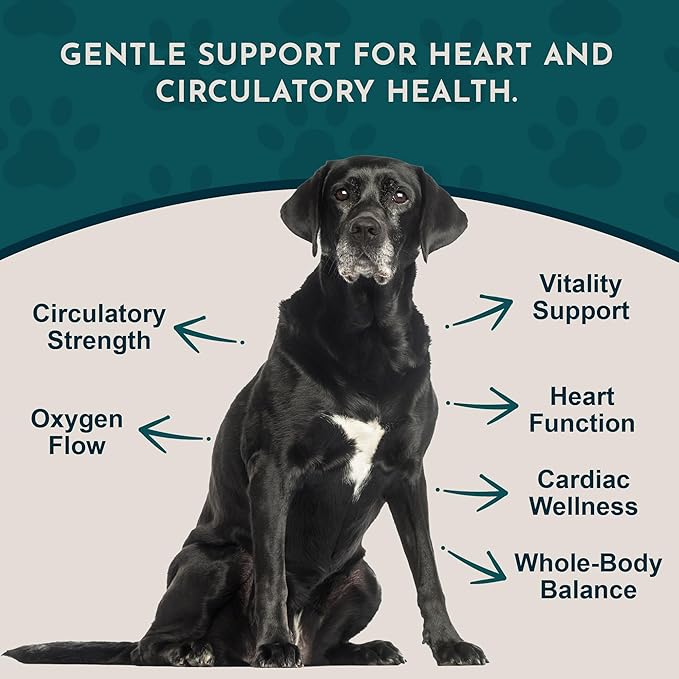 Animal Essentials Heart Health for Dogs & Cats - Cardiovascular Support Supplement, Healthy Heart, Organic Hawthorn Berry, Herbal Tincture - 2 Fl Oz