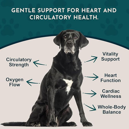Animal Essentials Heart Health for Dogs & Cats - Cardiovascular Support Supplement, Healthy Heart, Organic Hawthorn Berry, Herbal Tincture - 2 Fl Oz