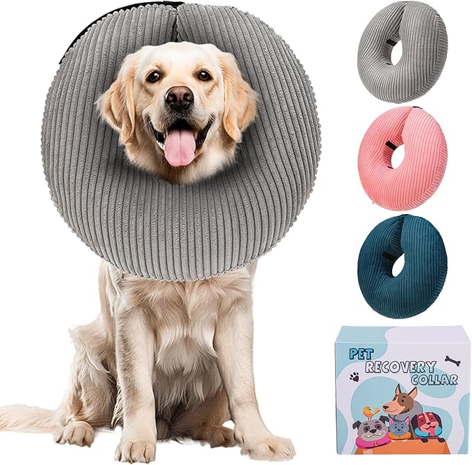 BINGPET Inflatable Dog Cone Collar Alternative After Surgery,Soft Recovery Cone for Dogs to Stop Licking, Blow up Protective Neck Donut ECollars Adjustable for Large Medium Small Puppy Pet, Grey XL
