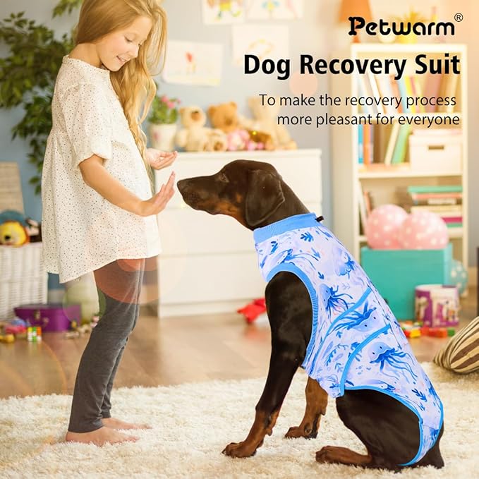 PetWarm Surgery Suit Male, Cone of Shame Alternative Bodysuit for Abdominal Affected Areas Sensitive Skin Areas, Soft Bodysuit for Small Medium Large Dogs, Marine Animal Patterns, Blue, 2XL