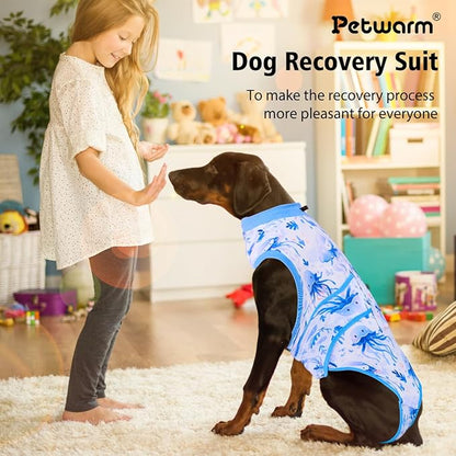 PetWarm Surgery Suit Male, Cone of Shame Alternative Bodysuit for Abdominal Affected Areas Sensitive Skin Areas, Soft Bodysuit for Small Medium Large Dogs, Marine Animal Patterns, Blue, 2XL