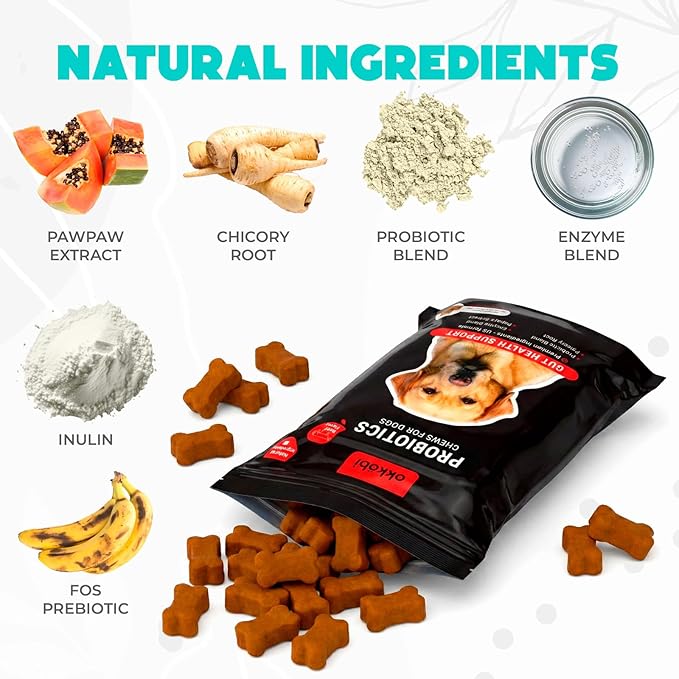 Probiotics for Dogs Chews - 60 pcs - Digestive & Gut Health Support - Probiotic Chews for Dogs with Enzymes & Natural Ingredients - US Formula - Beef Flavored