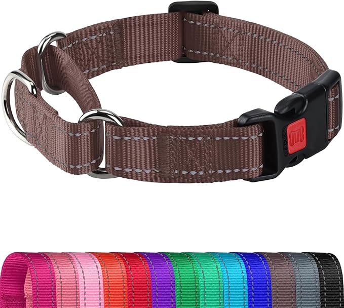 Joytale Martingale Collar for Dogs, Reflective Heavy Duty for Safety, Quick Release Buckle, Adjustable Nylon Collars for Large Dogs Walking Training, Brown,L
