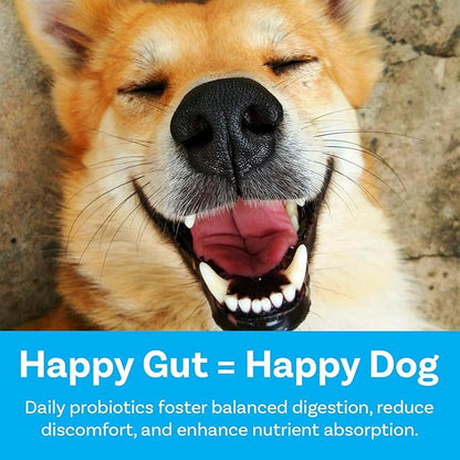 PawSafe® Dog Probiotics Soft Chews for Picky Eaters - USA Made, 120 Count - Digestive & Gut Health, Diarrhea, Gas Relief, Allergy & Itchy Skin Support - Natural with Pumpkin - Honey Chicken Flavor
