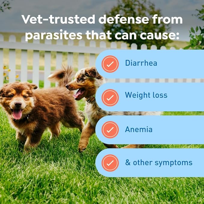 Interceptor Plus Prevention for Heartworm + 4 Other Worms for Dogs 2-8 lbs. | 6 Chews, 6-Month Supply