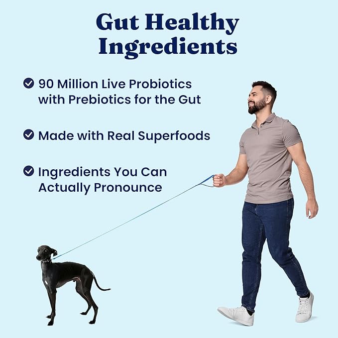Solid Gold Lamb Dog Food Dry for Adult & Senior Dogs– High Protein Healthy Dog Kibble for Medium & Large Breeds – Whole Grain, Omega 3 & Digestive Probiotics for Gut Health & Everyday Nutrition – 4 LB