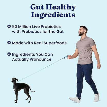 Solid Gold Lamb Dog Food Dry for Adult & Senior Dogs– High Protein Healthy Dog Kibble for Medium & Large Breeds – Whole Grain, Omega 3 & Digestive Probiotics for Gut Health & Everyday Nutrition – 4 LB