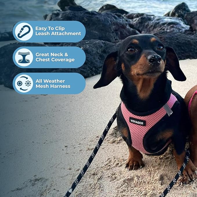 Best Pet Supplies Voyager Step-in Air All Weather Mesh Harness and Reflective Dog 5ft Leash Combo with Neoprene Handle, for Small, Medium and Large Breed Puppies - Set (Pink Base), Small
