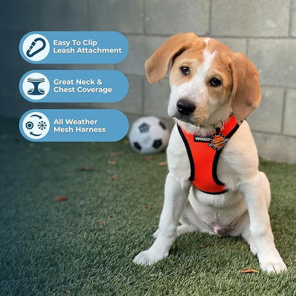Best Pet Supplies Voyager Step-in Air All Weather Mesh Harness and Reflective Dog 5ft Leash Combo with Neoprene Handle, for Small, Medium and Large Breed Puppies - Set (Orange/Black Trim), Medium