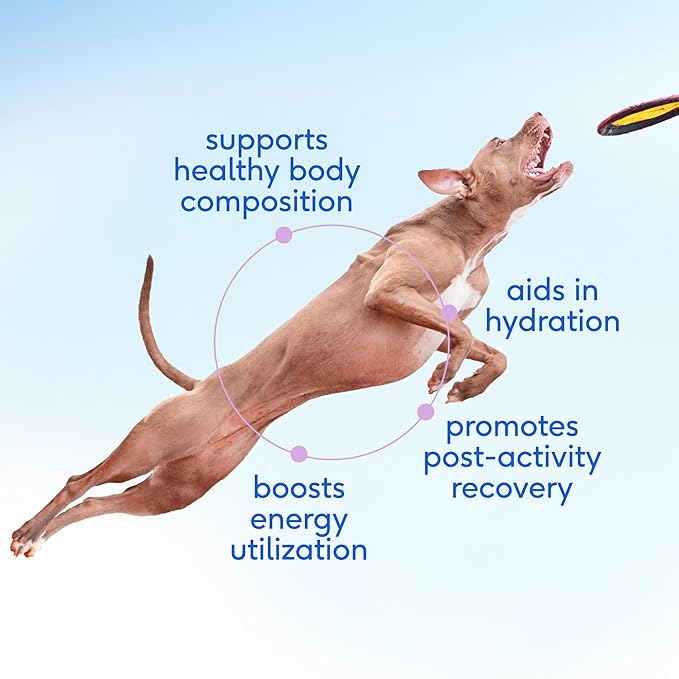 Native Pet Lean & Strong Bundle: GutWell Trim Down - Dog Weight Loss Supplement & Goat Milk for Dogs - Organic Goat Milk Powder - Puppy Formula Dairy Replacement Packed with Protein - 60 Scoops