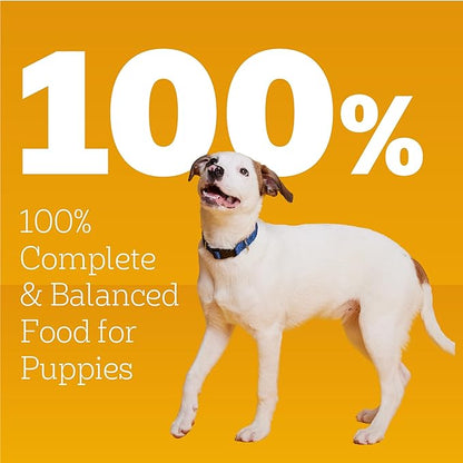 Pedigree Puppy Chopped Ground Dinner Wet Puppy Food with Chicken & Beef, Canned Dog Food, 13.2 oz. Cans, 12 Count