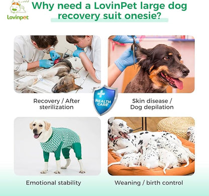LovinPet Dog Recovery Suit for Large Medium Dogs - Wound Protective Surgical E-Collar Alternative Recovery Bodysuit for Abdominal Wounds After Surgery Dog Onesies Cut-Out Design of Abdomen,3XL