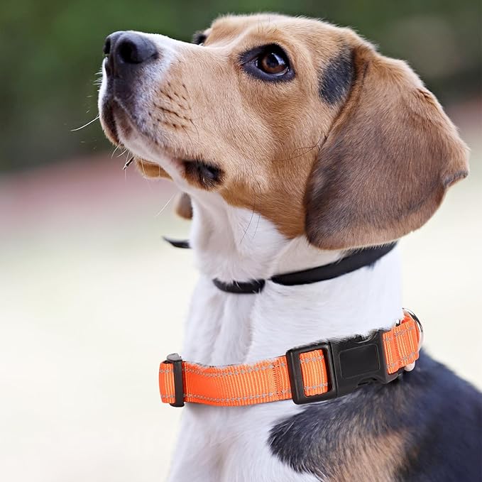 Reflective Martingale Dog Collars. Dog Collar with Quick Release Buckle. Adjustable Soft Padded Breathable Nylon Pet Collar Suitable for Puppies for Small Medium Large Dogs.