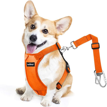VavoPaw Dog Seat Belt, Safety Vest Dog Car Harness with Adjustable Buckle Dog Seat Belt for Vehicle Nylon Pet Safety Seat Belts Heavy Duty(M, Orange)