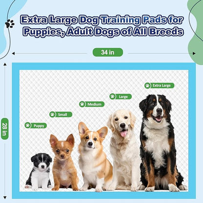 Puppy Pads 50 Pack, 34"x28" Extra Large Dog Pee Pads Thicker Disposable Dog Training Pads Super Absorbent & Leak-Proof, xl 6-Layer Quick-Dry potty Training Pads for doggie, Cats, Rabbits, Pet Supplies
