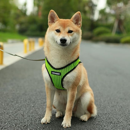 Best Pet Supplies Voyager Step-in Air Harness - All Weather Mesh, Reflective, No Pull Harness for Dogs, Cats - Secure with Hook & Loop Fastener, Buckle, Double D-Rings - Lime Green 2-Tone, M