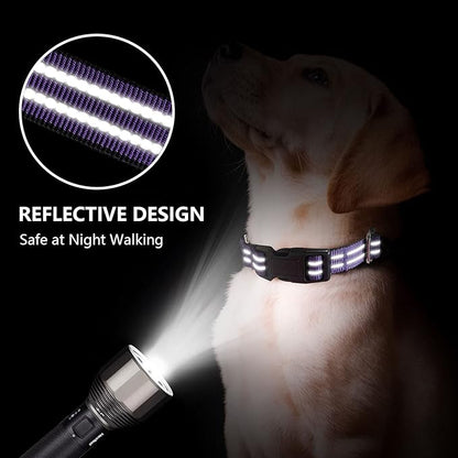 Hikiko Martingale Collar for Dogs Reflective Nylon Dog Collar with Quick Release Buckle Adjustable Training No Slip Dog Collar (Large, Purple)