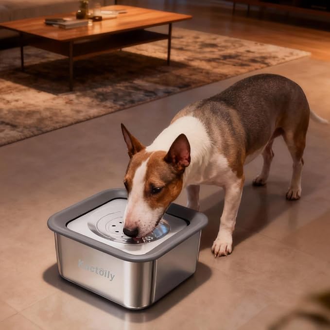 Kactoily 3L No-Spill Dog Water Bowl, Large Capacity Slow-Drinking Pet Water Feeder with Anti-Splash Floating Disk and Non-Slip Base (Square Dog Bowl)
