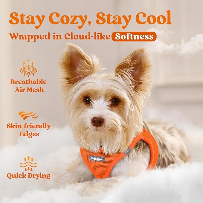 rabbitgoo Small Dog Harness, Step-in Soft Mesh Puppy Vest with Safety Buckle, Breathable Reflective Pet Harness for Extra Small Dogs, Orange XXXS