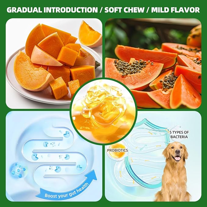 Probiotic Chews for Dogs, Probiotics Soft Chews for Dogs Digestive Health, Daily Probiotics for Dogs with Digestive Enzymes, Dog's Daily Supplement, Dog Food Companion (Chicken Flavor 100Ct)
