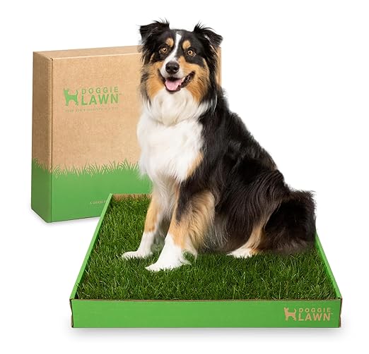 DoggieLawn Real Grass Puppy Pee Pads- 24 x 24 Inches - Perfect Indoor Litter Box for Dogs - No Mess, Easy-to-Use - Potty Training for Pets - Eco-Friendly Disposable Bathroom with Real Living Grass