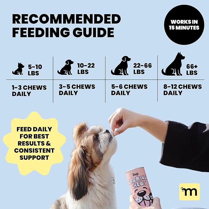 MalsiPree Calming Soft Chews for Dogs - 145 Count, Salmon Flavor - Promotes Relaxation & Composure - Support for Car Rides, Loud Noises, Grooming & Changes in Routine - with Chamomile & Melatonin