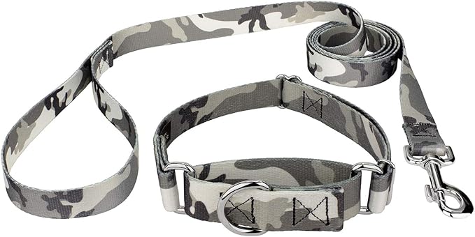 Country Brook Petz - Urban Camo Martingale Dog Collar and Leash - Camouflage Collection Featuring Rugged Designs (1/2 Inch, 2XS)