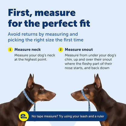 PetSafe Gentle Leader Headcollar - No-Pull Dog Collar for Better Walks - Adjustable for Snout-Specific Fit - Comfortable Head Harness - Large - Silver